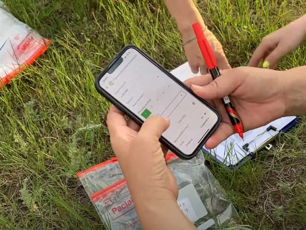 Person holding phone with rTek Rangeland Inventory app in the field