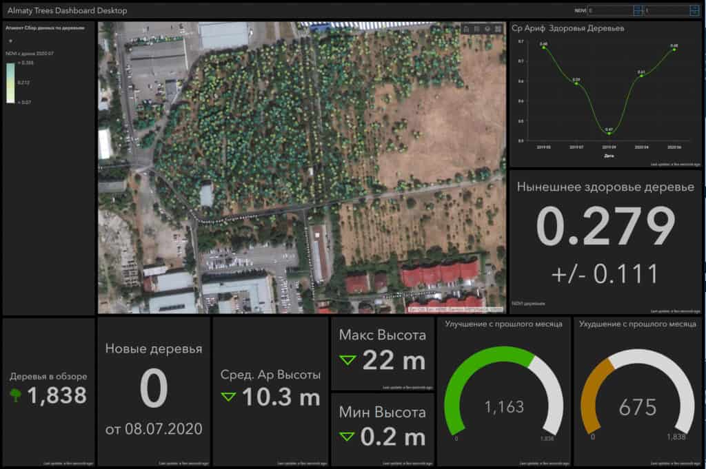 Saplings (10 cm wide) were not visible on larger-scale data. Needed to create second high-resolution map to identify saplings